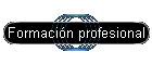 Formación profesional