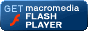 Descarga Flash Player. Necesario en muchos juegos.