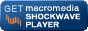 Descarga Shockwave Player. Necesario en algunos juegos.